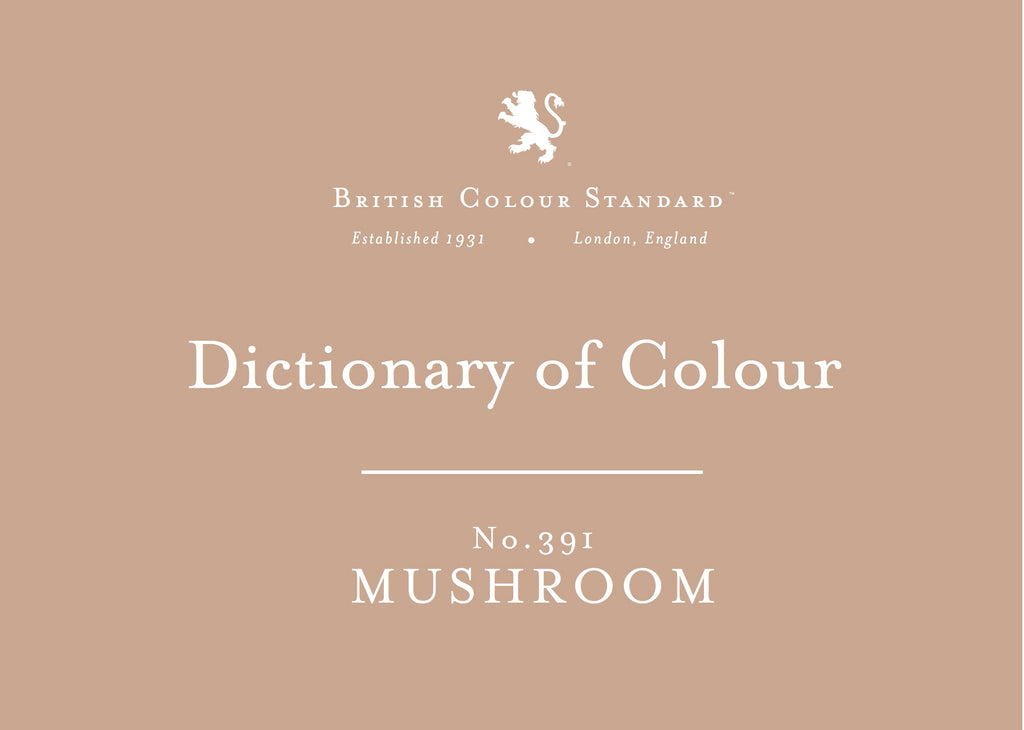 BRITISH COLOUR STANDARD - Mushroom No. 391