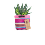 Eco Woven Plant Pot Cover Set of 3 - Neyron Pink, Pompadour & Pearl
