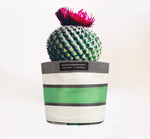 Eco Woven Plant Pot Cover Set of 3 - Grass Green, Indigo & Pearl