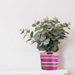 Eco Woven Plant Pot Cover Set of 3 - Neyron Pink, Pompadour & Pearl