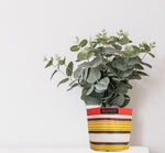 Eco Woven Plant Pot Cover Set of 3 - Tuscan Yellow, Pearl & Rose Beige