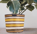 Eco Woven Plant Pot Cover Set of 3 - Tuscan Yellow, Pearl & Rose Beige