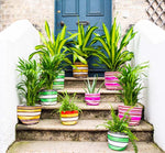 Eco Woven Plant Pot Cover Set of 3 - Grass Green, Indigo & Pearl
