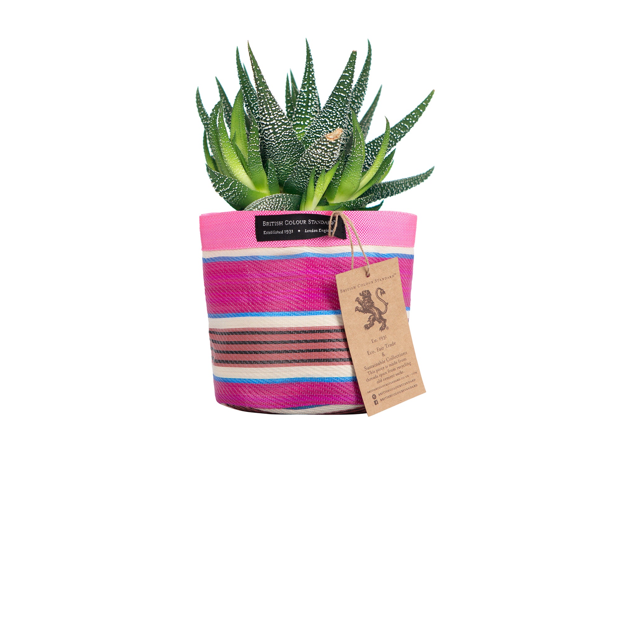 Small 14 cm - Eco Woven Plant Pot Cover in Neyron Pink, Pompadour & Pearl