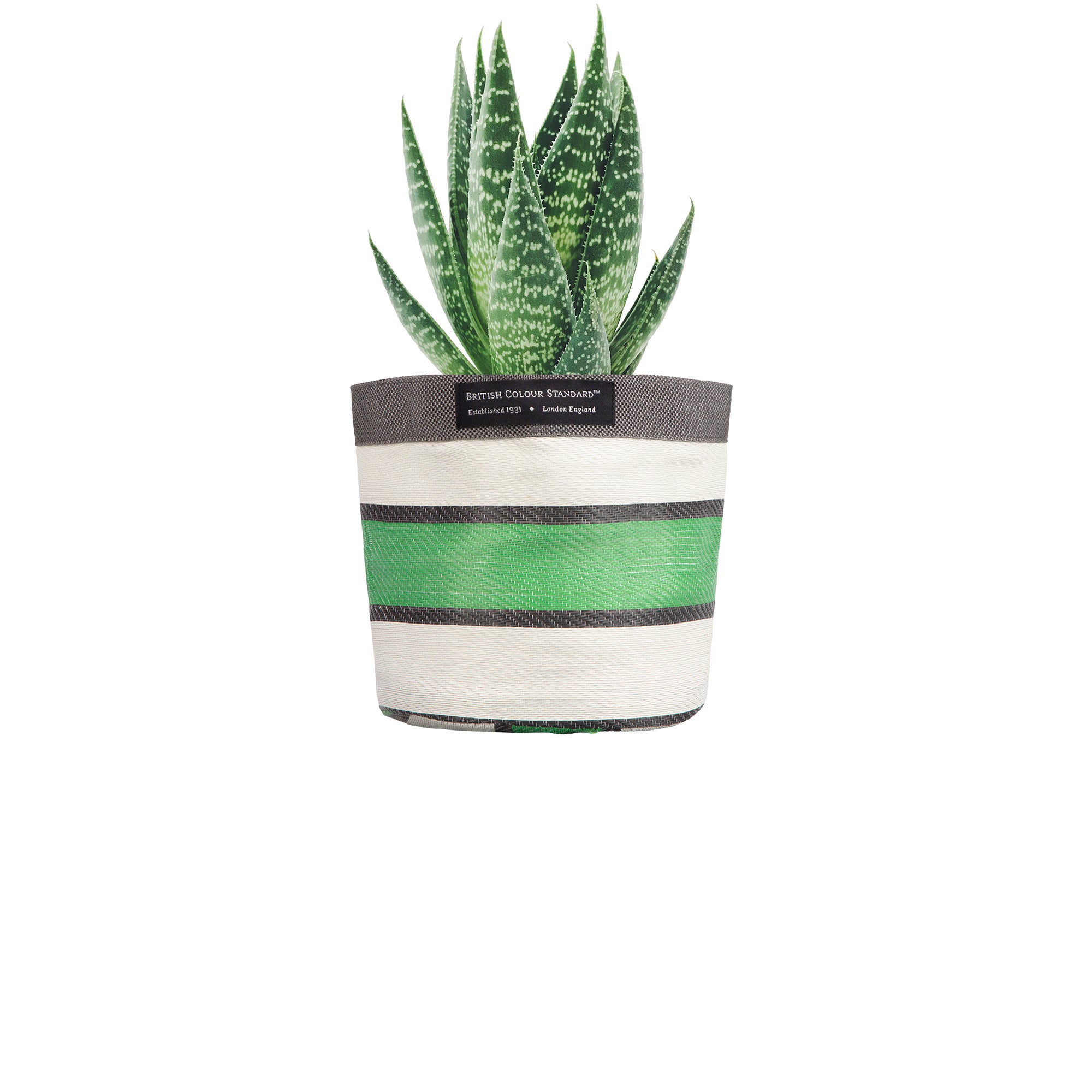 Small 14 cm - Eco Woven Plant Pot Cover in Grass Green, Indigo & Pearl