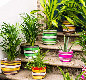 woven plant pot cover Small 14 cm